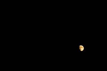 20120630-DSC_0248.jpg