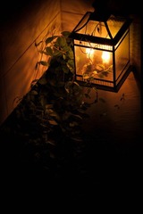 20120630-DSC_0267.jpg
