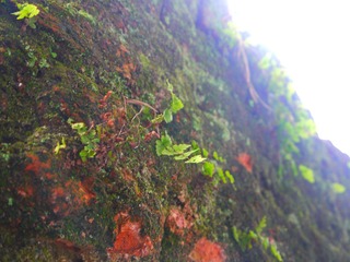 P1020418.JPG