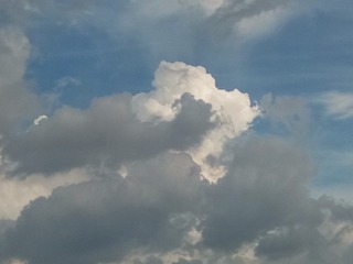 934