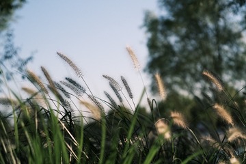 98CF4120-4AFB-45B1-ABE0-23C44D99611B/L0/001
