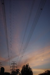 CC172D85-7ACC-4A8B-81B0-8394E3672E74/L0/001