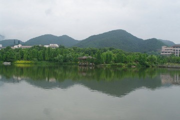 IMGP9974.JPG