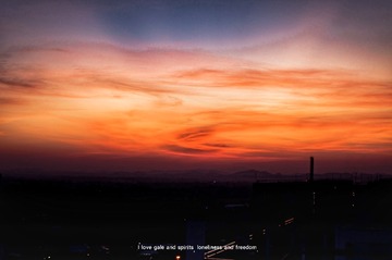 1180810