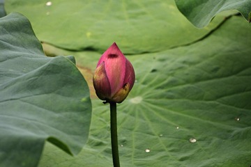 15073