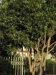34377558-942B-4307-AD5A-77C966ED6DF3/L0/001