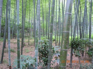 DSCN2110.jpg