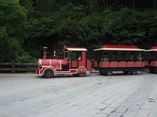 DSCN2145.jpg