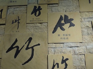 DSCN2229.jpg