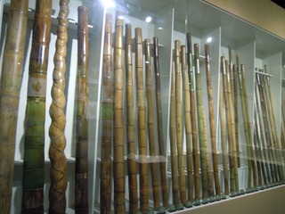 DSCN2239.jpg