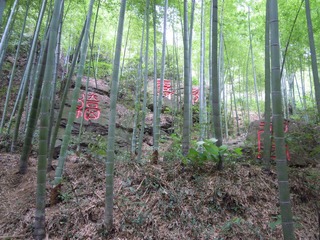 DSCN2247.jpg