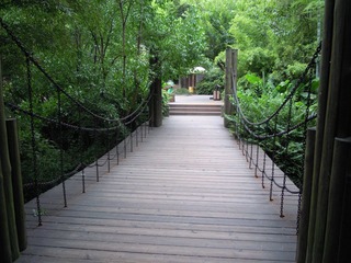 DSCN2253.jpg