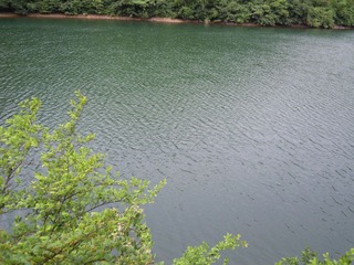 DSCN2257.jpg