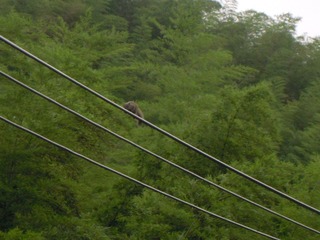 DSCN2263.jpg