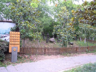 DSCN2277.jpg