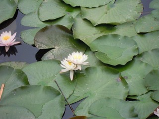DSCN2280.jpg