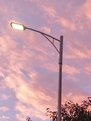819