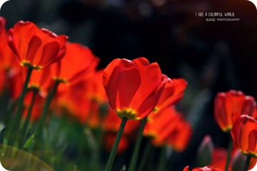 IMG_5679 .jpg