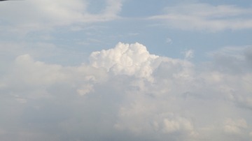 1166338