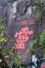 1000062752