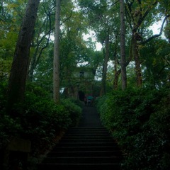20111109-DSC08582.jpg