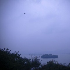 20111109-DSC08585.jpg