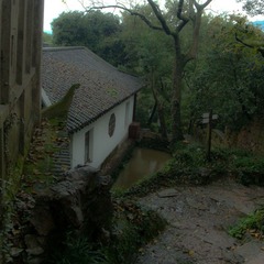20111109-DSC08587.jpg