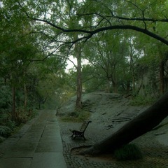 20111109-DSC08589.jpg
