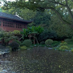 20111109-201111091771.jpg