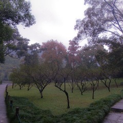 20111109-DSC08609.jpg