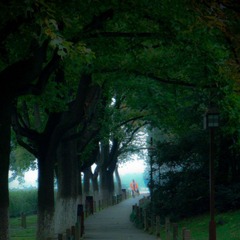 20111109-DSC08617.jpg