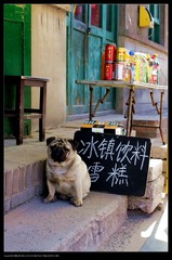 nEO_IMG_IMG_2385.jpg