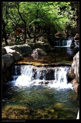 nEO_IMG_IMG_2536.jpg