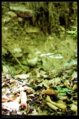 nEO_IMG_IMG_2551.jpg