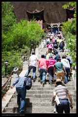 nEO_IMG_IMG_2620.jpg