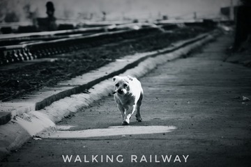 640336