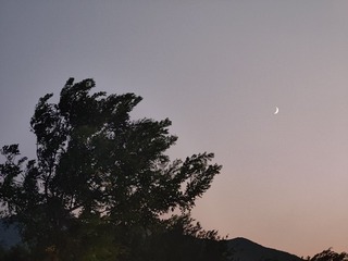 1000011834