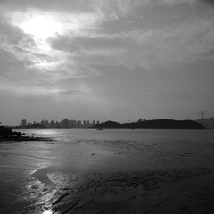 _DSC8009.jpg