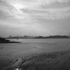 _DSC8010.jpg