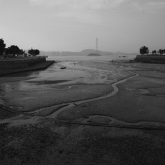 _DSC8014.jpg