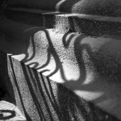 _DSC8262.jpg