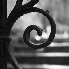 _DSC8263.jpg