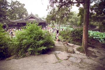 IMG_2503.jpg