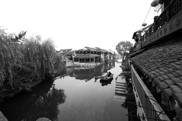 IMG_2578.jpg