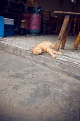IMG_2850.jpg