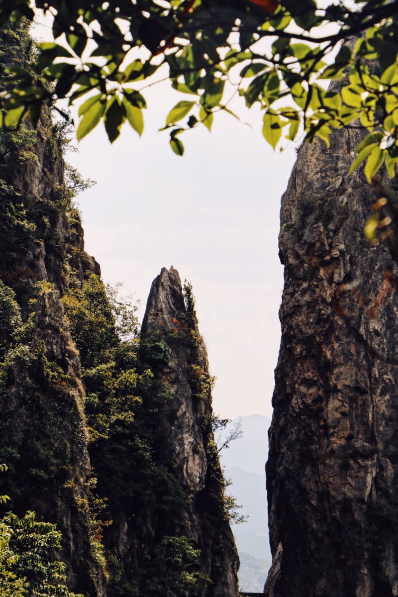 人望山,鱼窥荷 - kddk - 图虫