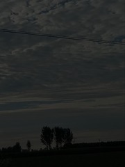 426876