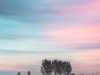 426877