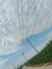 426875