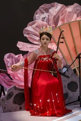二胡演奏